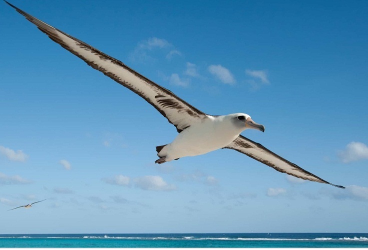 Действительно величайший