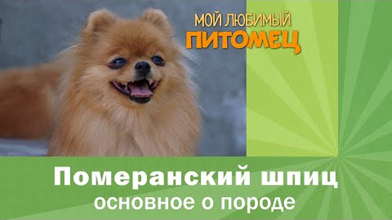 Нажмите и посмотрите