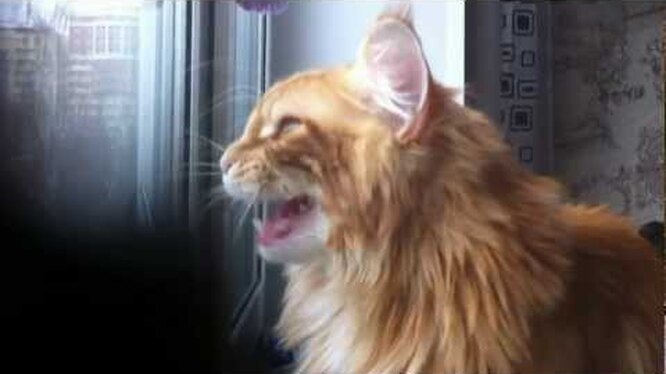 Нажмите и посмотрите