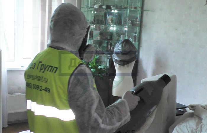 Как быстро умирают блохи после обработки Как быстро умирают блохи после обработки