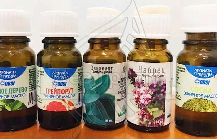 Эфирные масла от тараканов Эфирные масла от тараканов