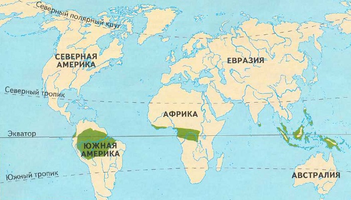 Влажные экваториальные леса на карте мира