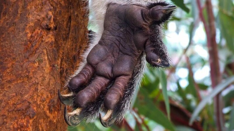 Есть отпечатки пальцев