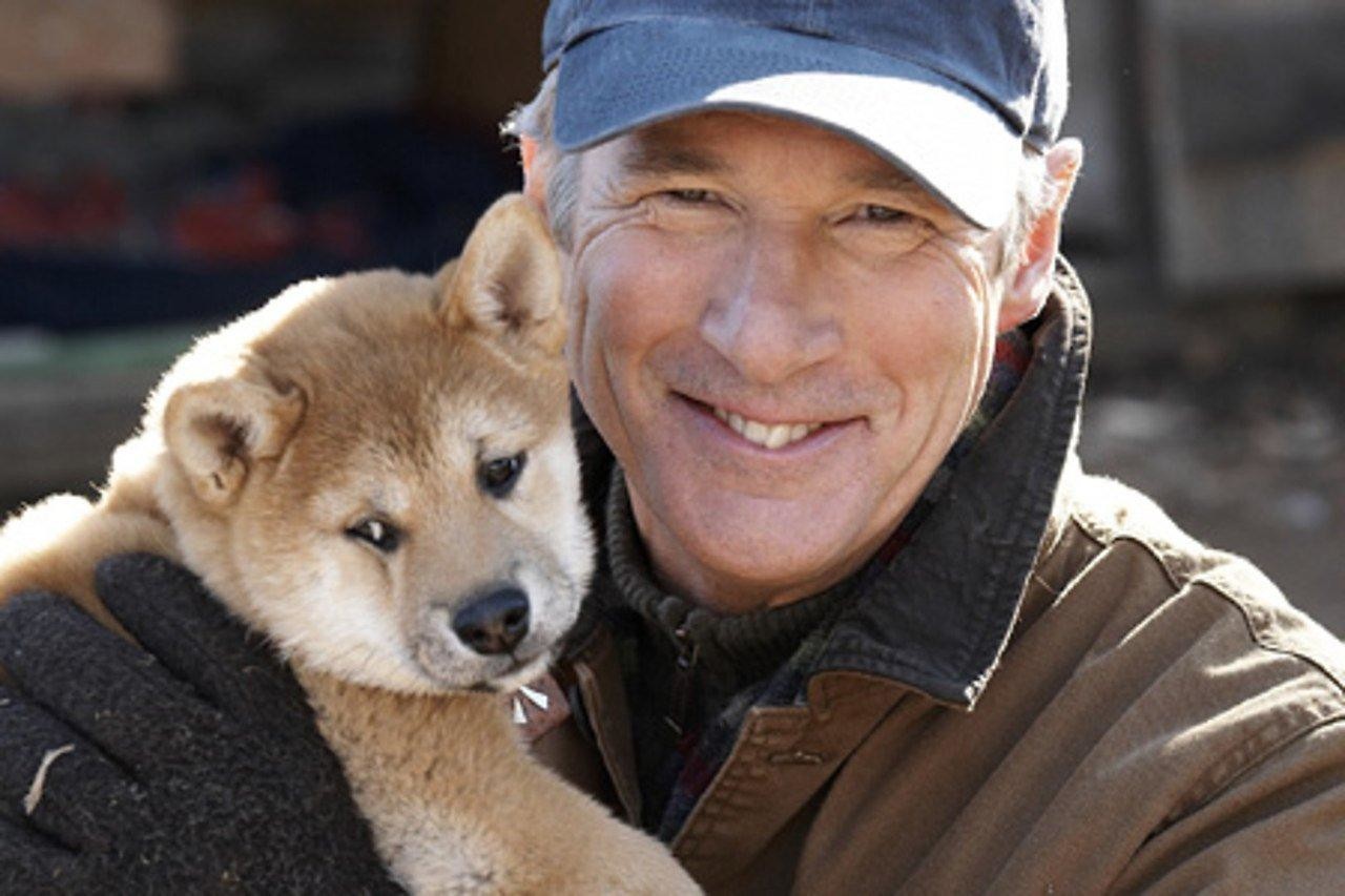 Как снимали животных: «Хатико», «Флиппер» и другие Как снимали животных: «Хатико», «Флиппер» и другие