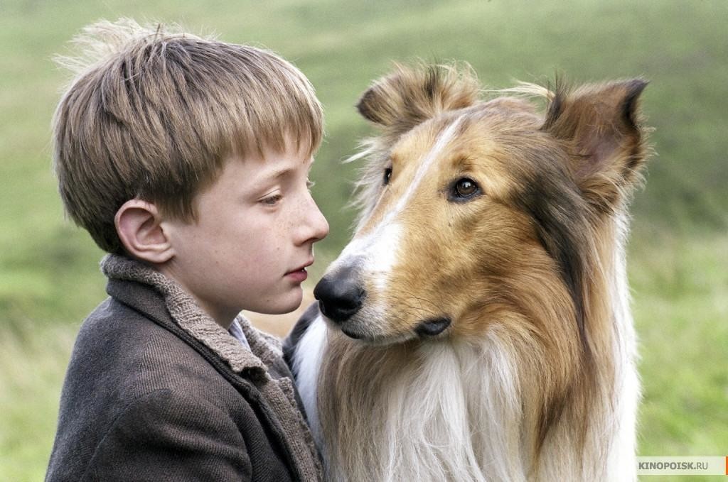 Как снимали животных: «Хатико», «Флиппер» и другие Как снимали животных: «Хатико», «Флиппер» и другие