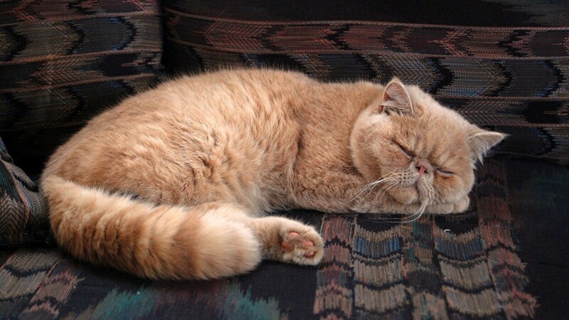 Персидский.