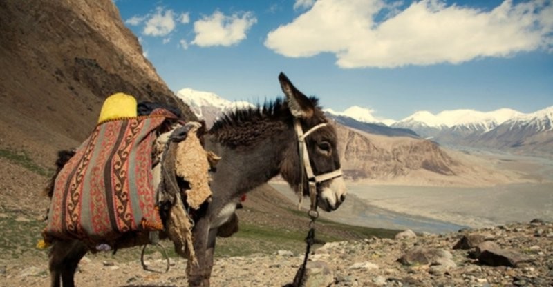 4-е тысячелетие до н. э. 4-е тысячелетие до н. э.