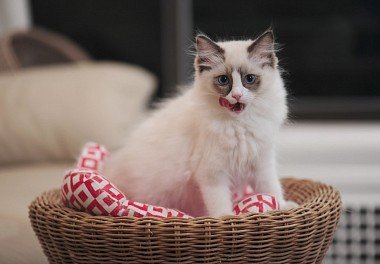 Тряпичная кукла