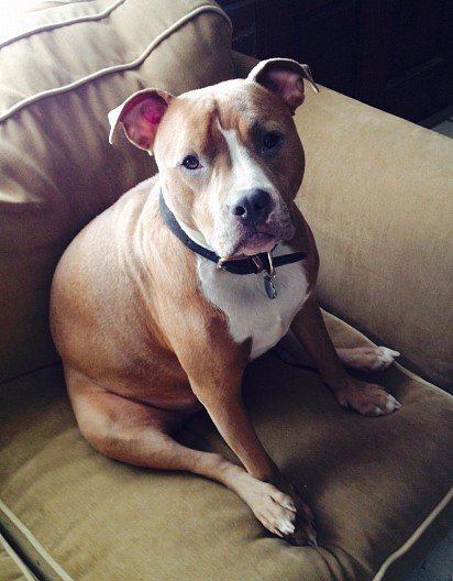 Я тут посижу немного