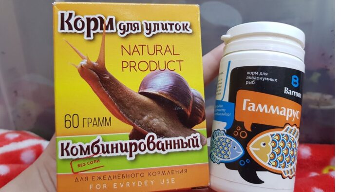 Корм для улиток