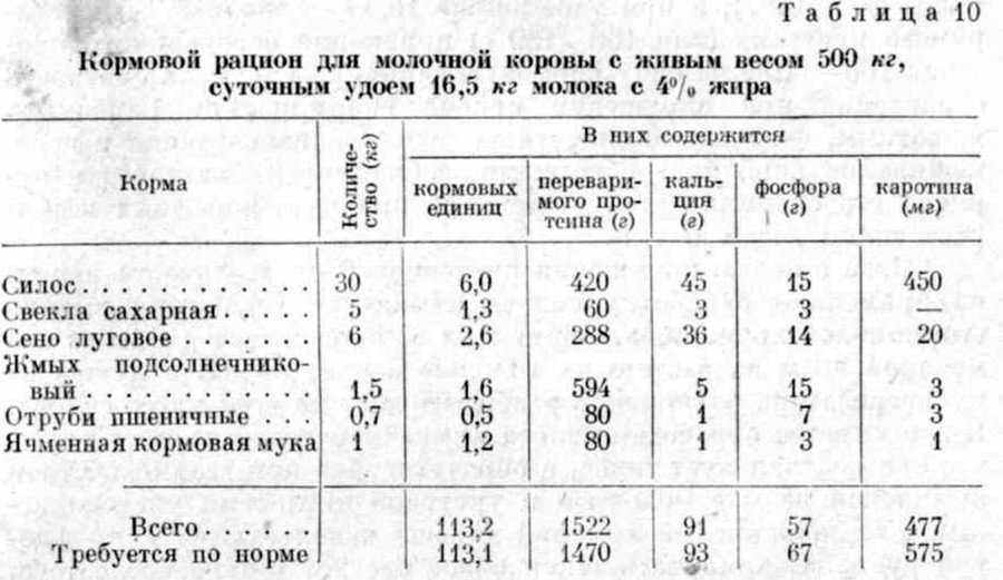 Рацион молохой коровы