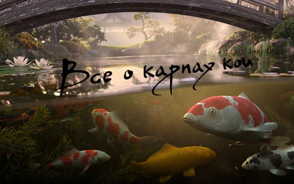 Список аквариумных рыбок