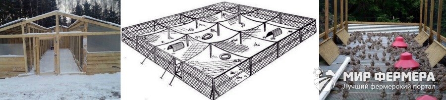 Вольеры для цесарок своими руками