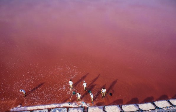 Розовый водоем с артемией