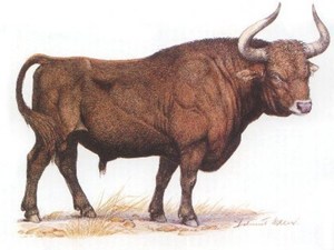 Фото тура Экскурсионный рисунок