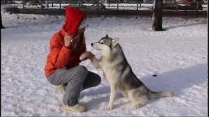 Повторение – мать учения Повторение – мать учения