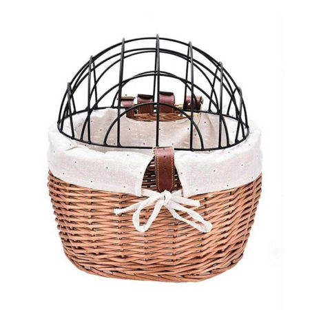 Попугай какарик: внешний вид, содержание, как приручить