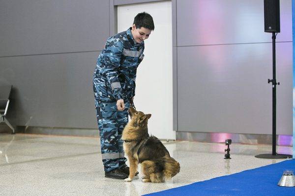 Шалайка (собака Сулимова) — описание, особенности новой породы в России