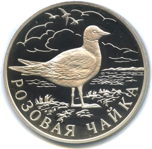 Розовая чайка: где обитает?