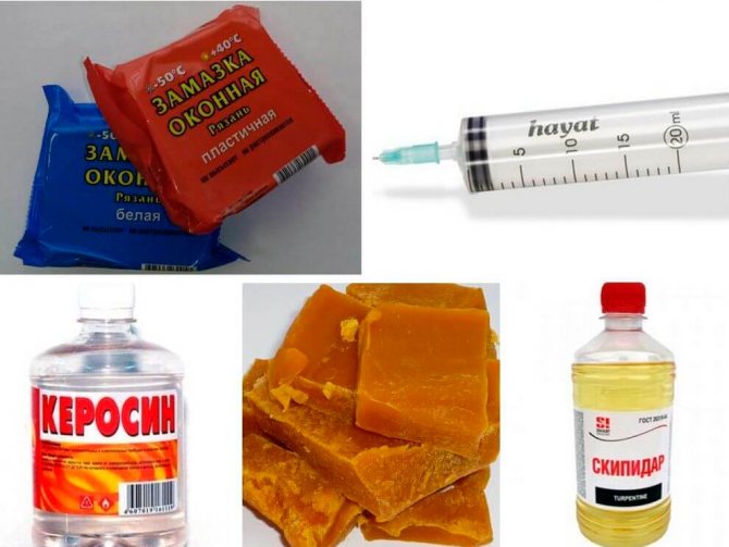 Жук-короед в деревянном доме: способы борьбы с точильщиком в домашних условиях