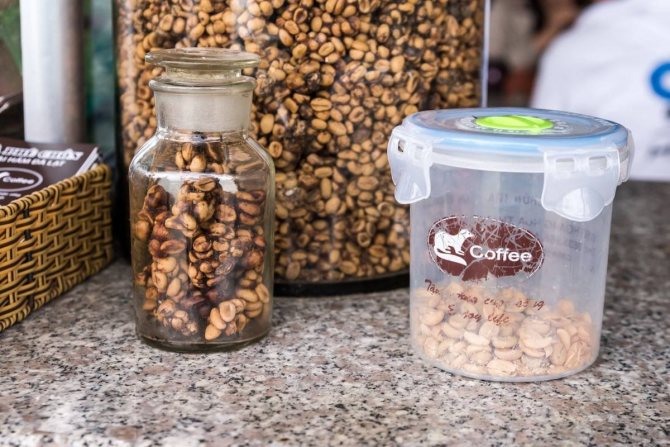 Мусанг: описание животного, особенности, виды, среда обитания