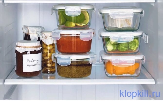 Хлебная жужелица – вредитель зерновых культур