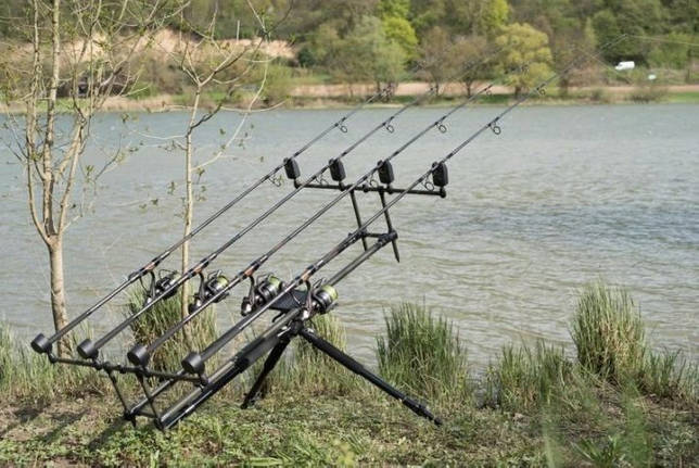 Ловля линя осенью в сентябре, октябре, ноябре на поплавочную удочку, фидер, донку - на что клюет, наживки, насадки