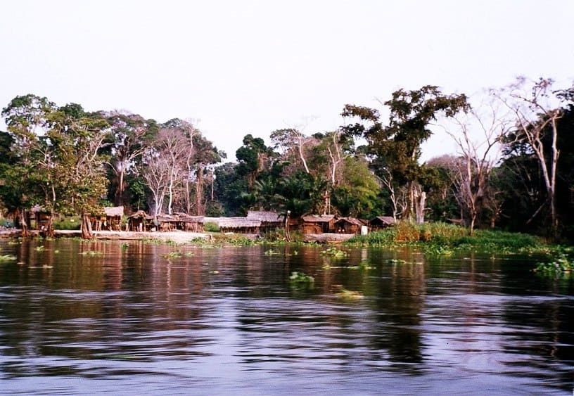 Слоник нильский (Gnathonemus petersii) места обитания 2