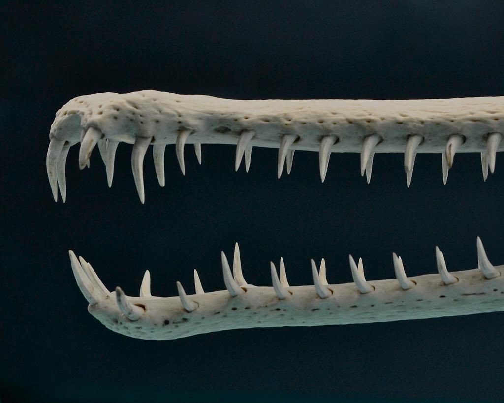 И зубки хоть и редкие, но жутко остренькие!