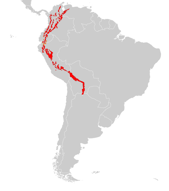 ареал очкового медведя на карте