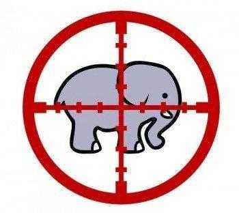 слон на руках