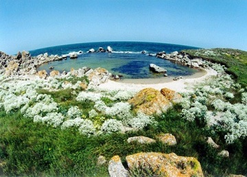 Ланшафт моря