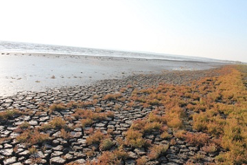 Побережье Азова