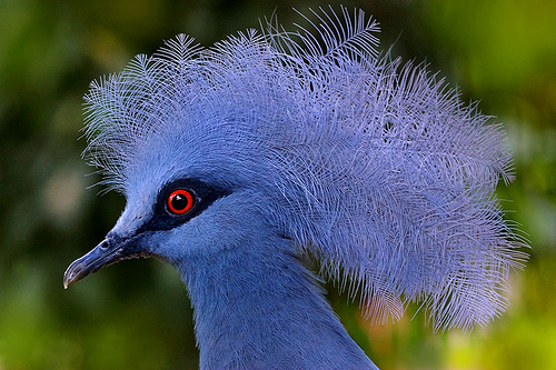 520007519_1696492757