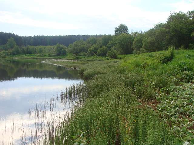 река, в которой может водиться линь