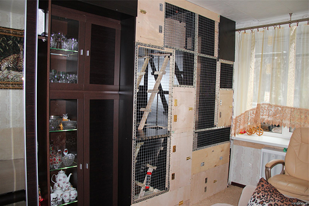 клетка для енота