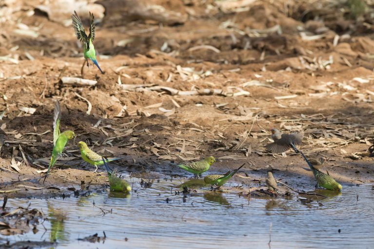 Фото: Джим Бендон
