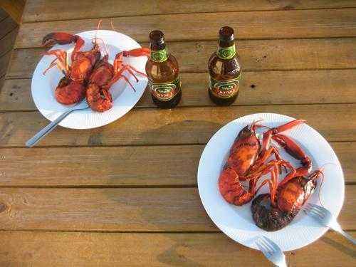 паукообразный