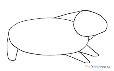 Как нарисовать свинку на Новый Год