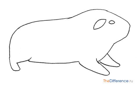 Как нарисовать свинку на Новый Год