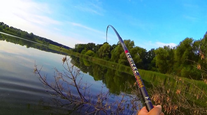 В июне карпа часто ловят с суши поплавочной удочкой
