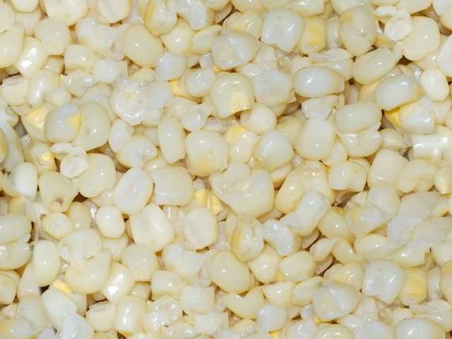 kukuruza4
