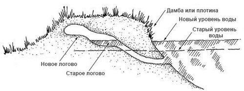 нора-онтатри