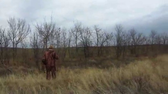 необрабатываемые угодья