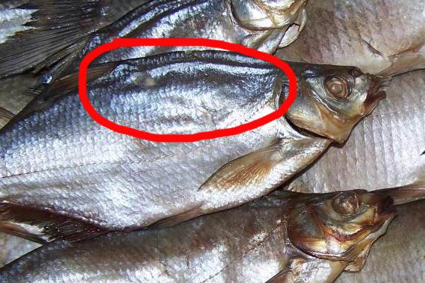 готов к сушке