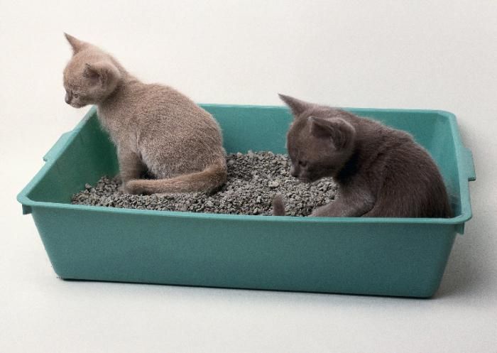 Достоинства