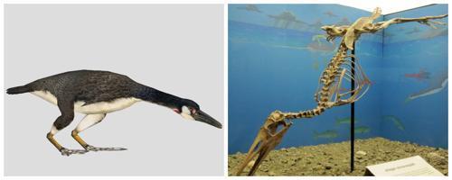 Гесперо́рнисы - вымерший род птиц