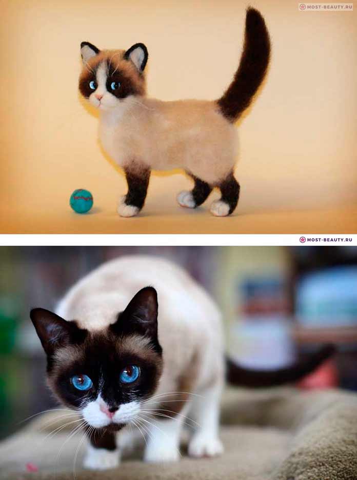 Снегоступы