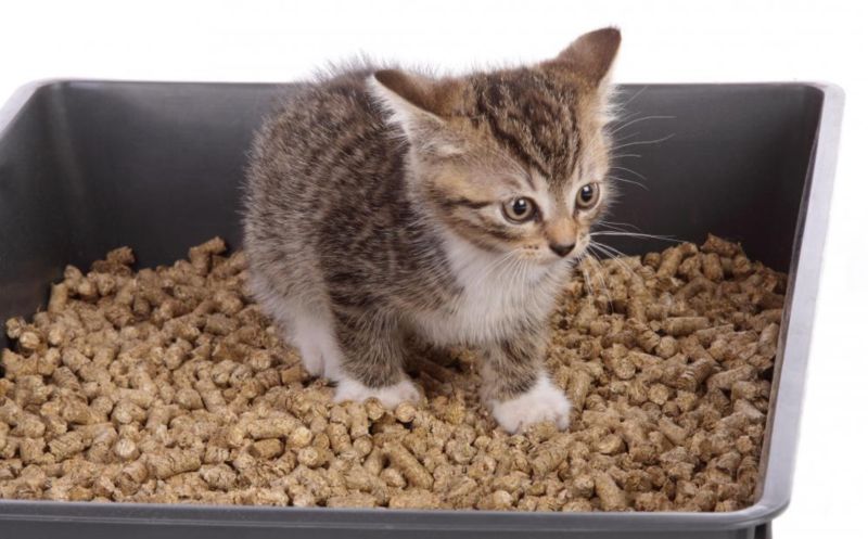 Недостатки