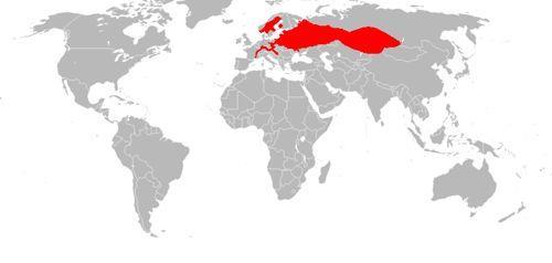 ареал-обитания-обычного-бобра-на-карте